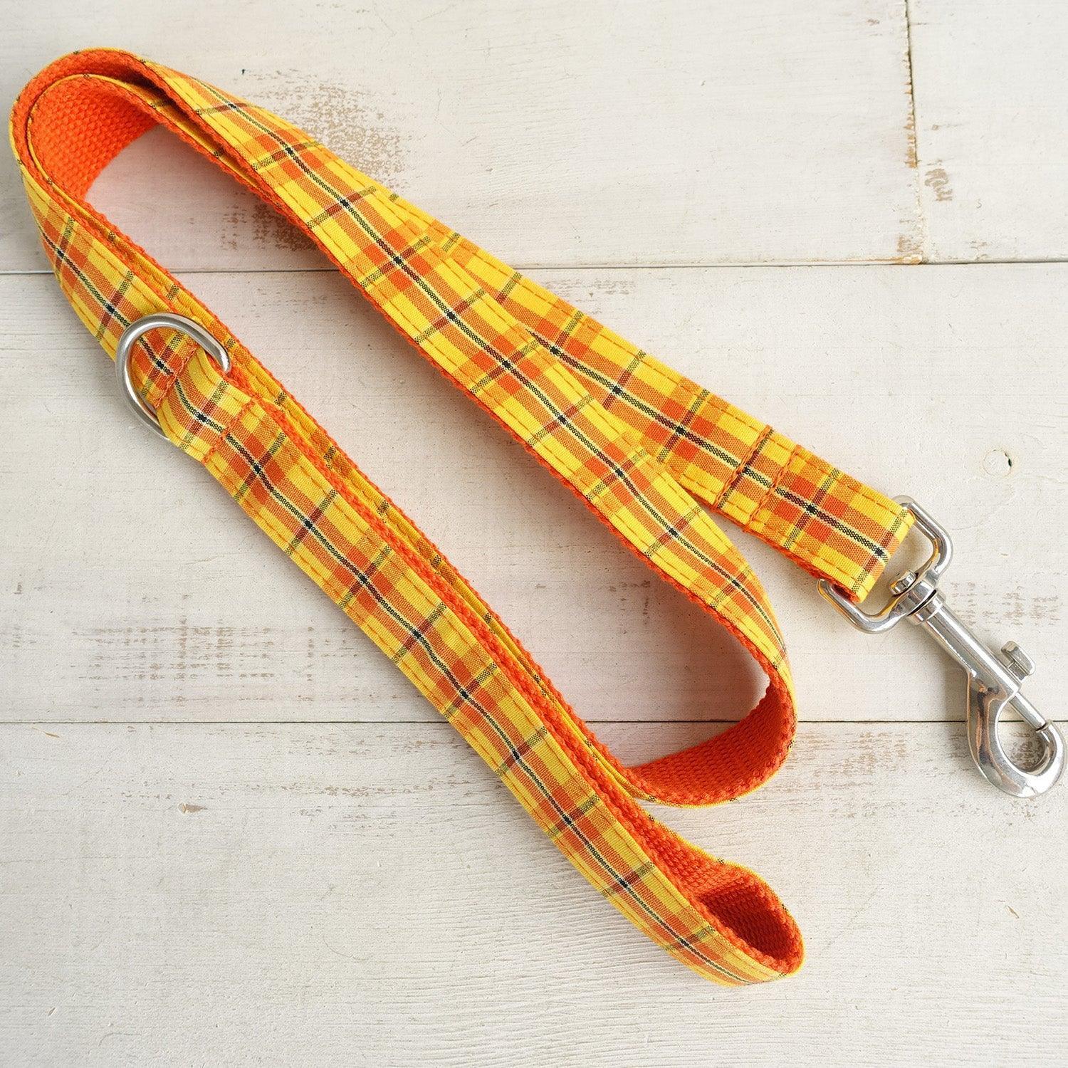 Premium Dog Accessory Set